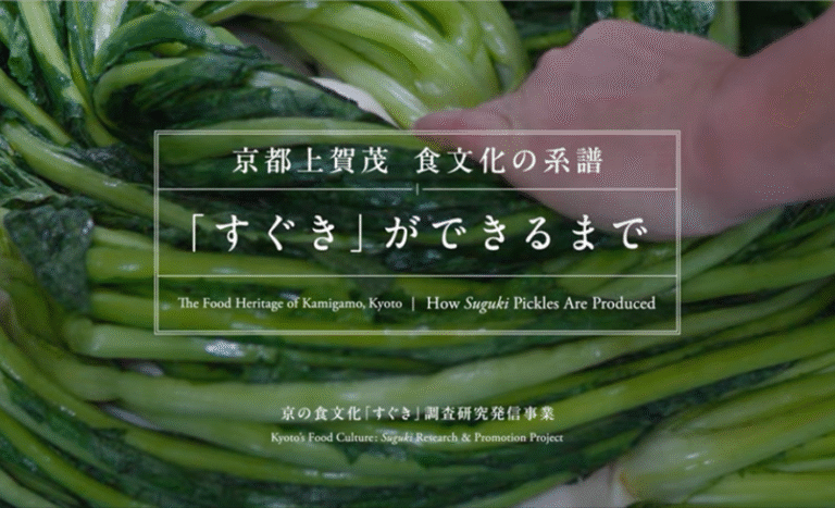 オリジナル動画制作